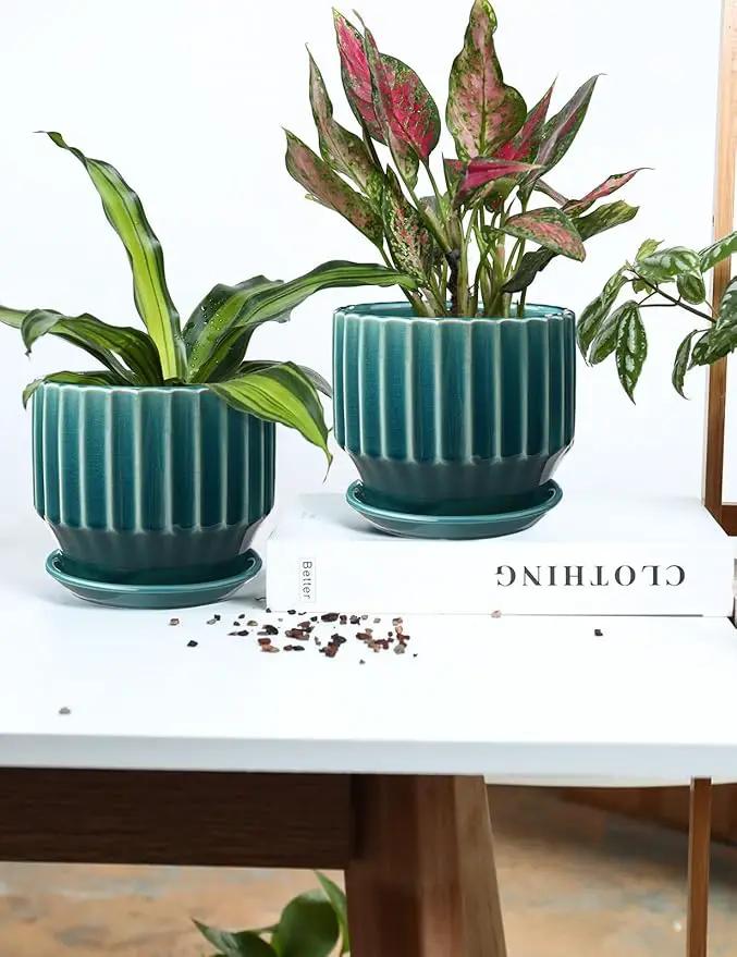 AISBUGUR Plant Pots 6 inch Ceramic Pots for Indoor Plants Set of 2 Flower Pots Unique Crackle Glaze Design Plant Pots with Drainage Hole and Saucer Come with Drainage Nets (Aqua Green) by GreenHaven Gardens