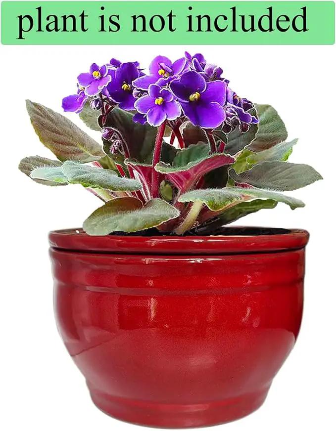African Violet Pots Self Watering Round Ceramic Violet Pot (red, 6 inch) by GreenHaven Gardens