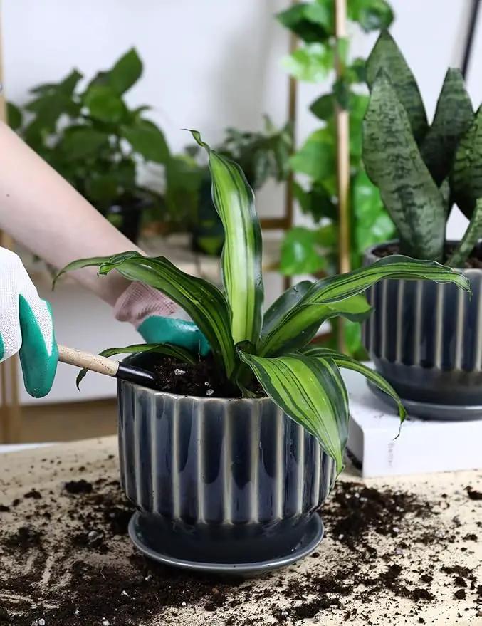 AISBUGUR Plant Pots 6 inch Ceramic Pots for Indoor Plants Set of 2 Flower Pots Unique Crackle Glaze Design Plant Pots with Drainage Hole and Saucer Come with Drainage Nets (Grey) by GreenHaven Gardens