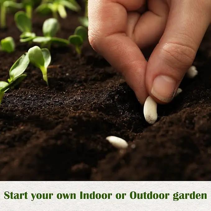10 Kit Non-GMO Growing into Thyme, Lavender, Chamomile, Dill, Chives, Cilantro, Rosemary, Basil, Parsley, Sage Indoor/Outdoor for Kitchen Windowsill Gardening Gift by GreenHaven Gardens