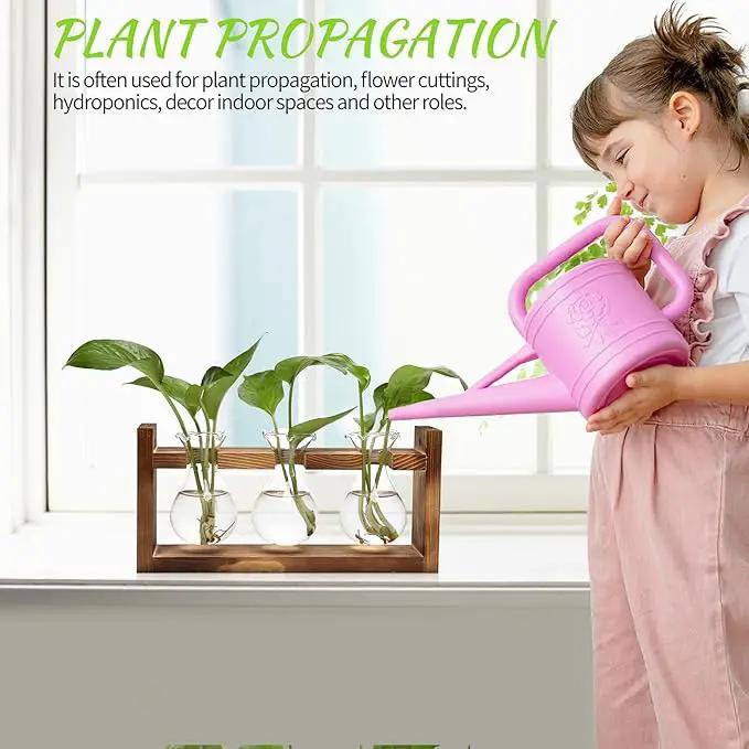 Plant Propagation Station Plant Terrarium Unique Birthday Gifts for Women Plant Lovers Home Office Decor Planter with Wooden Stand - 3 Bulb Glass Vase by GreenHaven Gardens