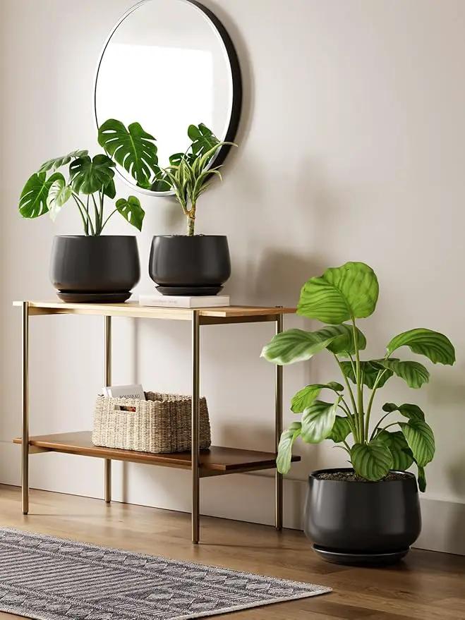 LE TAUCI Ceramic Planter, 10 Inch Plant Pot with Drainage Hole & Saucer – Durable Indoor Planter for Modern Home Decor, Black by GreenHaven Gardens