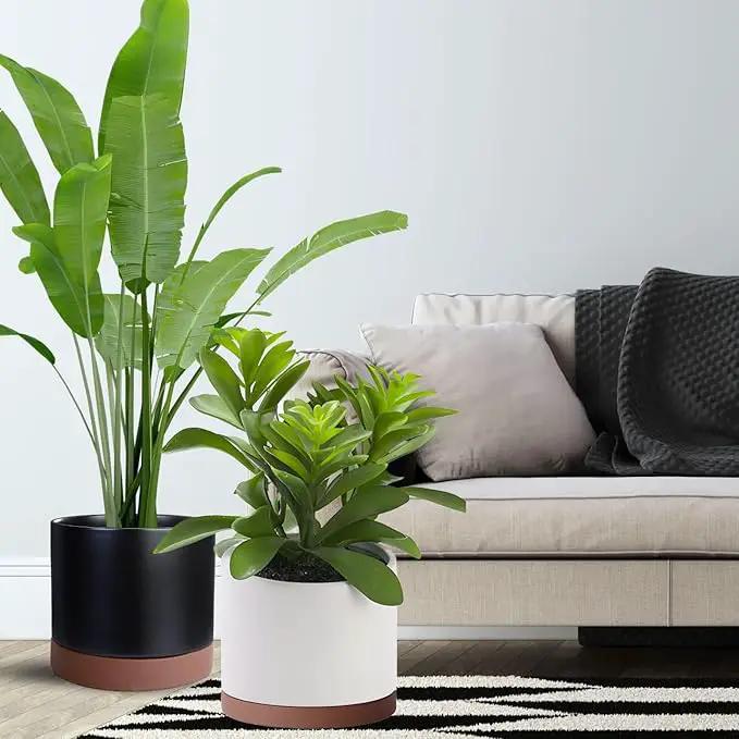 Ceramic Plant Saucer Pot Tray 10 Inch, Planter Saucers 4 5 6 7 8 9 10 11 12 13 Inch for Indoors Outdoor, Durable Sturdy Flower Drainage drip Water Tray for Glazed Pots Base (10.7 Inch-Brown) by GreenHaven Gardens