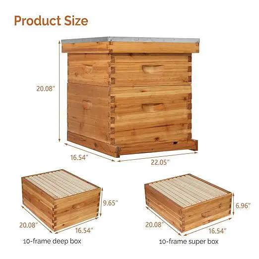 VINGLI 10 Frames Beehive, Complete Beehive Kit Includes 1 Deep Boxes, 1 Medium Box, Frames and Waxed Foundations, for Yard, Field, Bee Farm (2 Layer) by GreenHaven Gardens