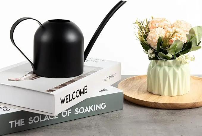 IMEEA Small Watering Can for Indoor Plants Stainless Steel Watering Can with Long Spout 15oz/450ml, (Black) by GreenHaven Gardens