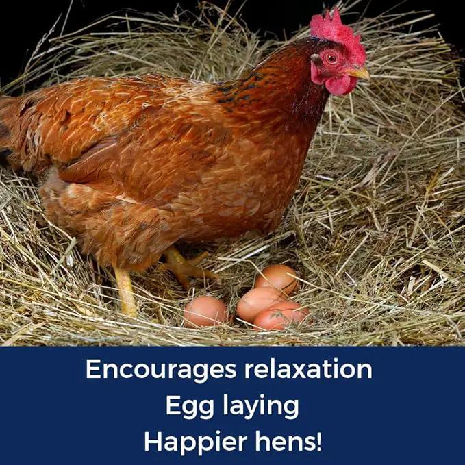 Pampered Chicken Mama Best Eggs Ever! Nesting Herbs for Chickens (4 Pounds) Calcium Supplement for Chickens | Chicken Feed Supplies, Hen Treats for Coops by GreenHaven Gardens