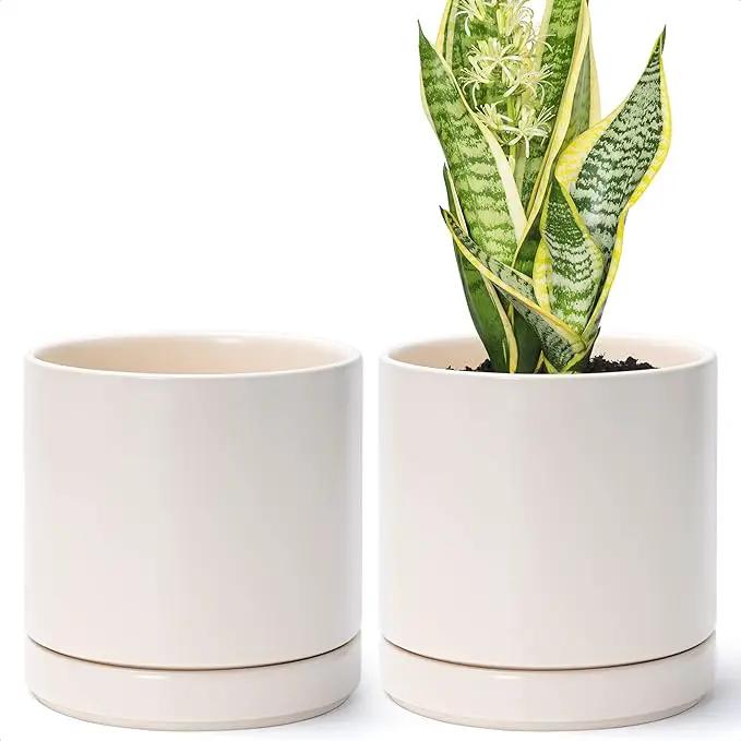 D'vine Dev Set of 2 Plants Pots, 6.5 Inch Ceramic Planter Pot for Plants with Drainage Hole and Saucer, Oatmeal, 94-V-C-8 by GreenHaven Gardens