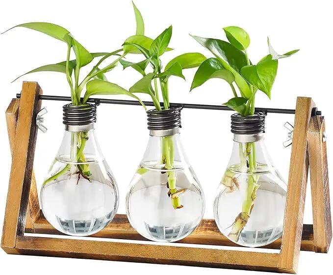 Marbrasse Plant Propagation Stations with Wooden Stand, Desktop Plant Terrarium Holder Bulb Vase, Glass Vase Container with Metal Swivel Holder for Hydroponics of Home Garden Office Decor Lover Gifts by GreenHaven Gardens
