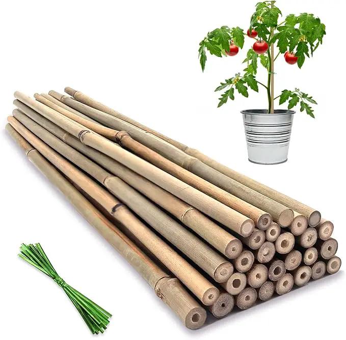 Plant Stakes,12 Inches Natural Garden Bamboo Sticks,BOVITRO 20Pcs Plant Support Stakes for Tomatoes,Beans,Vegetable and Potted Plants by GreenHaven Gardens