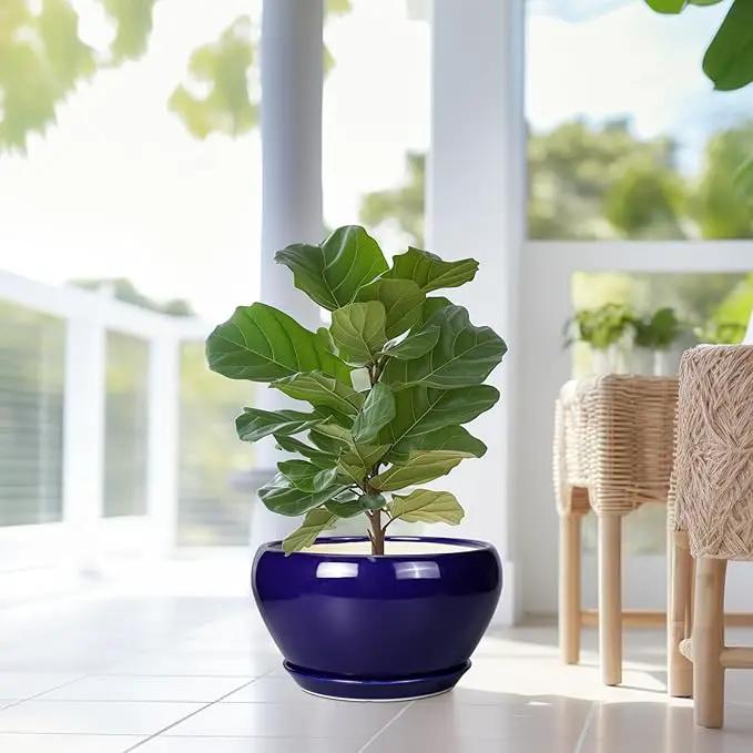 Ceramic Planter - 13 Inch Indoor Plant Pot for Plants with Drainage Hole and Saucer Large Planter Round Outdoor Flower Pot Mid-Century for House Patio Room Decor Blue by GreenHaven Gardens