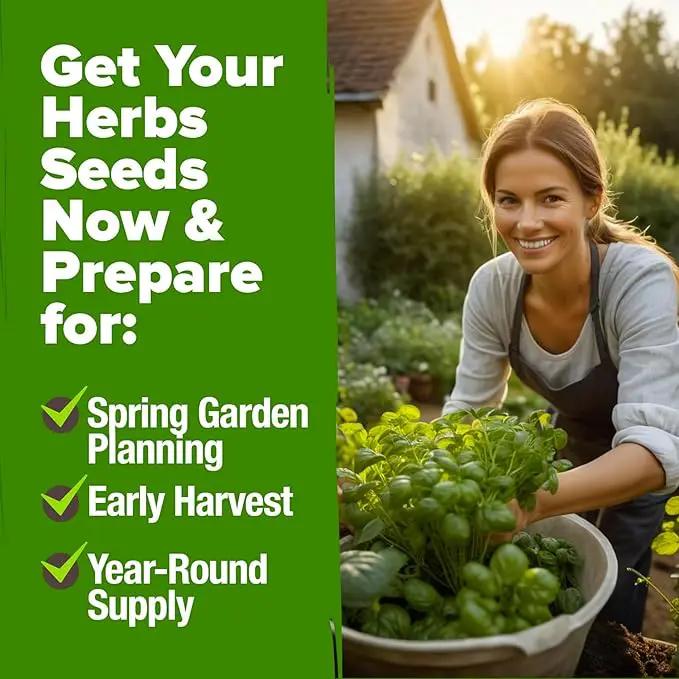 HOME GROWN 6 Herb Seeds for Planting 3,200+ Non-GMO Heirloom Seeds | Extra Large Variety Pack Herb Kit – Indoor Outdoor & Hydroponic | Culinary Seed Set | Grow Your Own Herbs | Gift for Beginners by GreenHaven Gardens