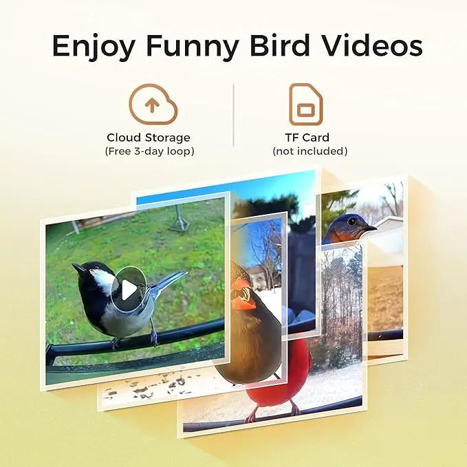 Smart Squirrels-Proof Bird Feeder with Camera Solar Powered, AI Identify Bird Species, Instant Notification Camera, CCPA Data Security, 3.2L Ultra Large Capacity Gift by GreenHaven Gardens