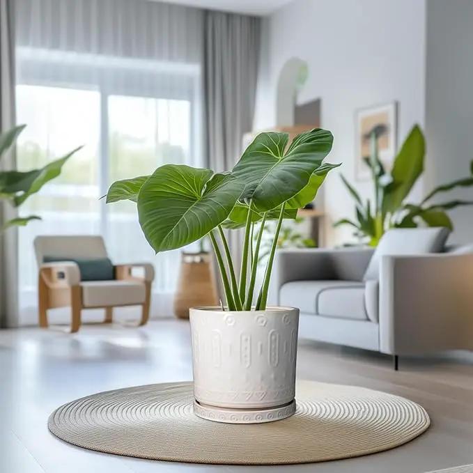 Ceramic Pots for Plants 12 Inch - Large Ceramic Planters for Indoor Plants Outdoor Modern Flower Pot with Drainage Holes and Saucer for Office Garden Patio White by GreenHaven Gardens