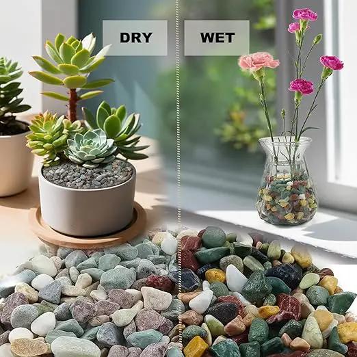 15LB Succulents Rocks for Plants Cactus Gravel Pebbles for Fish Tank 1/2 Inch Natural River Rocks for Vase, Aquarium, Landscaping,Bonsai,Terrarium Pebbles, Mixed Color by GreenHaven Gardens