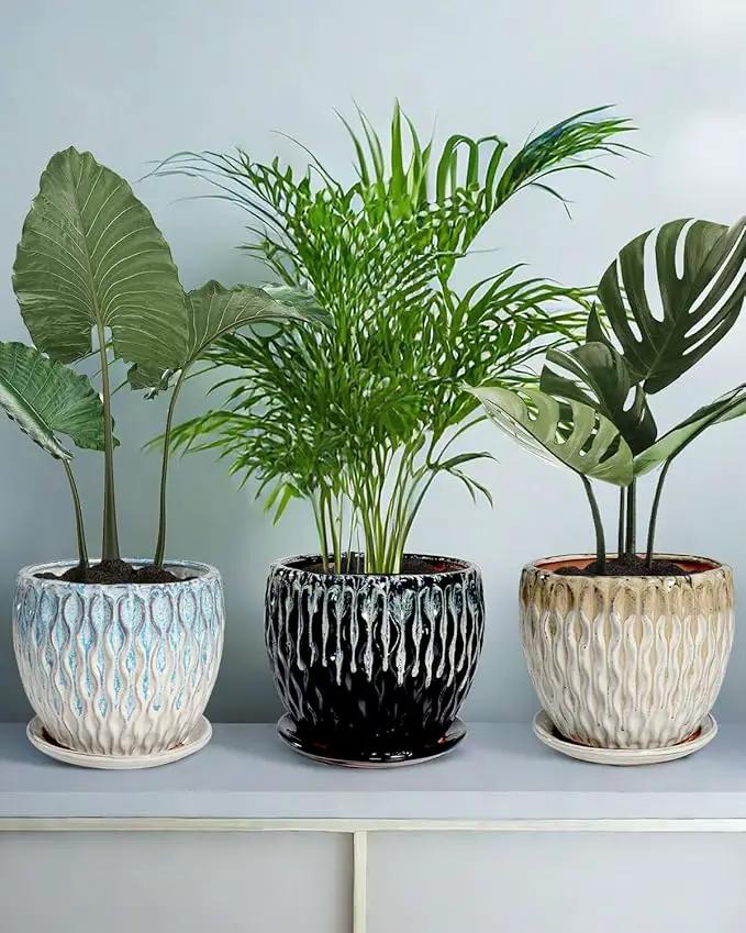vensovo 7.5 Inch Ceramic Plant Pot with Drainage Holes and Saucer - Large Round Orchid Pot for Indoor Repotting, Ceramic Planter Maintain air Circulation, Black by GreenHaven Gardens