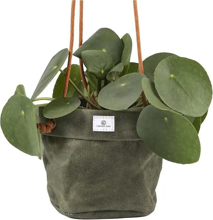 Waxed Canvas Handmade Hanging Planter for Indoor/Outdoor Plants, Hanging Basket Plant Holder Forest Green by GreenHaven Gardens