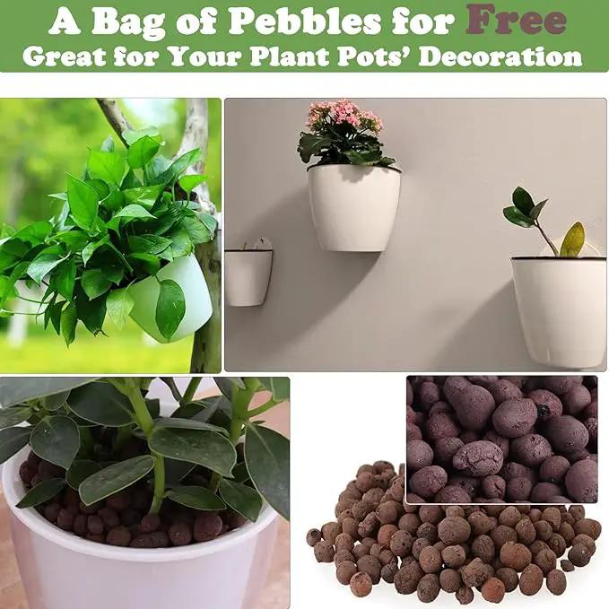 5 Packs 7.3”Wall Hanging Self Watering Planters Large Wall Mounted Plastic Plant Pots Wick Flower Pots for Indoor and Outdoor Wall Mounted Planters African Violet Pot Orchid Pots by GreenHaven Gardens
