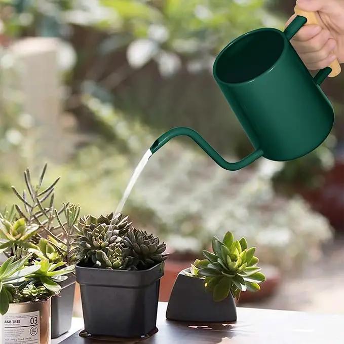 Watering Can Indoor Plants, 35 oz/1000 ml Metal Stainless Steel Watering Can Pot with Long Spout for Indoor House Plants Bonsai Outdoor Garden Flower Decorative (Alpinegreen) by GreenHaven Gardens