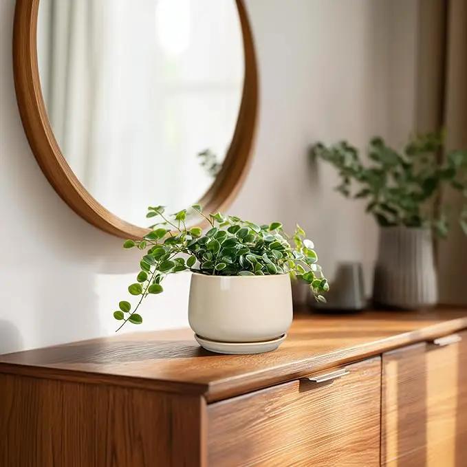 G EPGardening 4 inch Plant Pots - Ceramic Planter with Drainage Hole & Saucer, Small Plant Pots for Indoor Outdoor, Round Succulent Pot, Modern Decorative Flower Pot, Desk Decor, Garden Gifts, Beige by GreenHaven Gardens