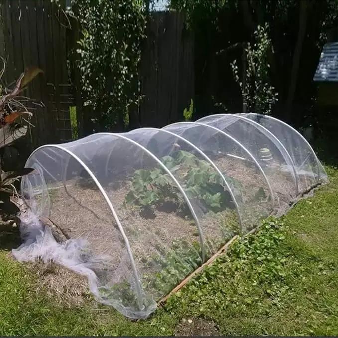 Agfabric Garden Netting 6.5'x49' Barrier Net, Bird Netting for Garden Trees Vegetable and Plants, White by GreenHaven Gardens