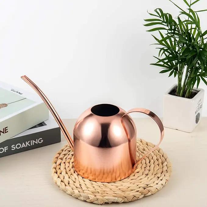 IMEEA Indoor Watering Can for House Plants 33oz/1L Stainless Steel Watering Can with Long Spout (Rose Gold) by GreenHaven Gardens
