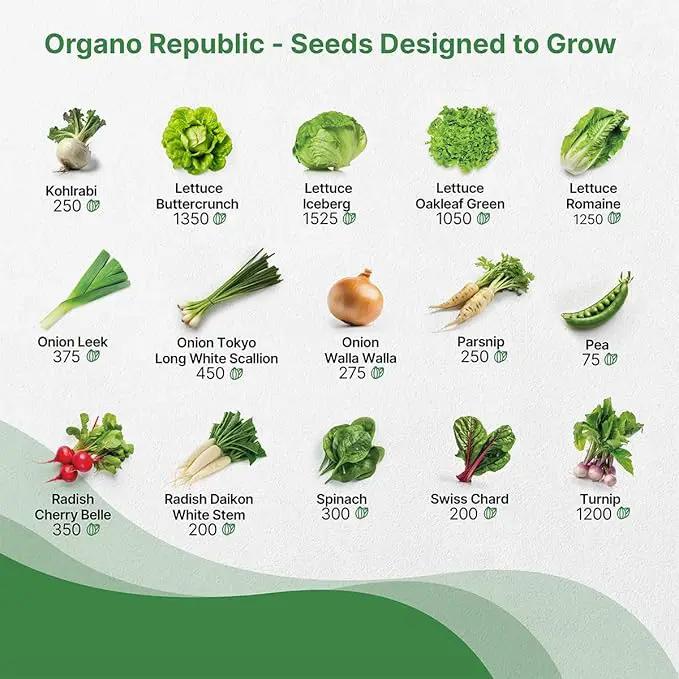 Organo Republic 30 Most Popular Winter Vegetable Garden Seeds Variety Pack- Outdoors/Indoor 33,200+ Non-GMO Heirloom Veggie Seeds Broccoli Beet Carrot Cabbage Chives Lettuce Radish Pea Spinach & More by GreenHaven Gardens