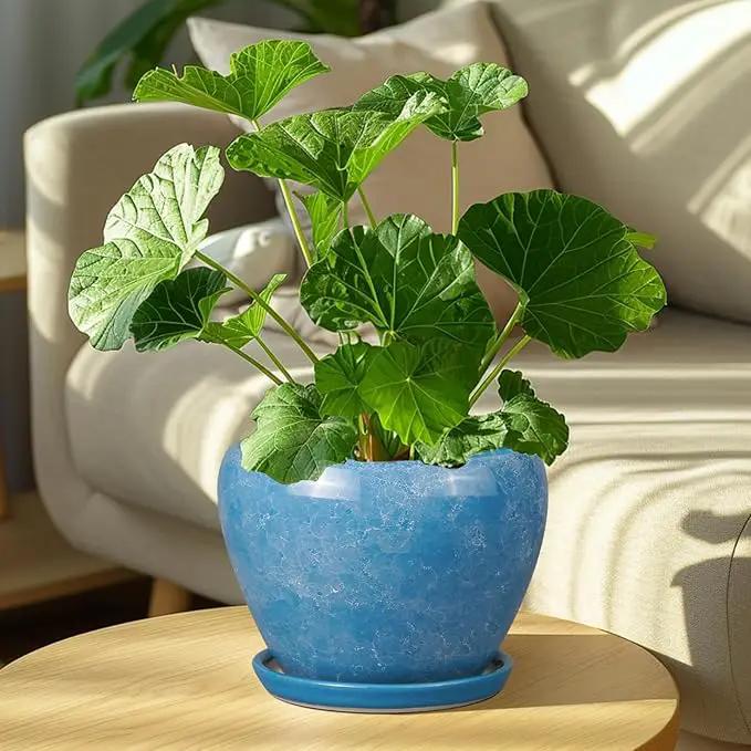 Ceramic Planter - 8 Inch Plant Pot with Drainage Hole and Saucer, Glaze Round Flower Pot for Home Garden Patio Office, Blue by GreenHaven Gardens
