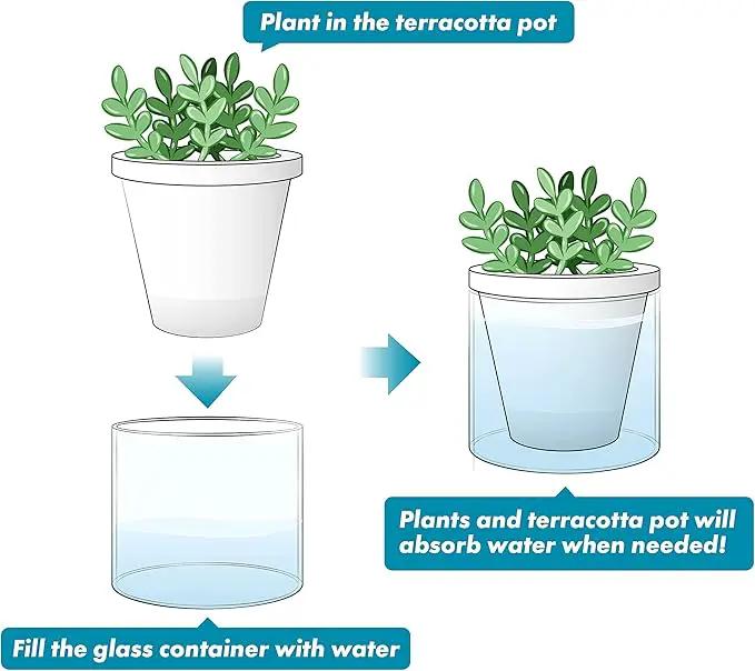 D'vine Dev 4 Inch Design Self Watering Planter for Indoor Plants, White Terracotta Pots with Cylinder Glass Cup, Set of 2, 37-Y-A-2 by GreenHaven Gardens