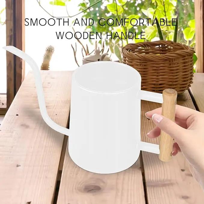 Watering Can Indoor Plants, 35 oz/1000 ml Metal Stainless Steel Watering Can Pot with Long Spout for Indoor House Plants Bonsai Outdoor Garden Flower Decorative (White) by GreenHaven Gardens