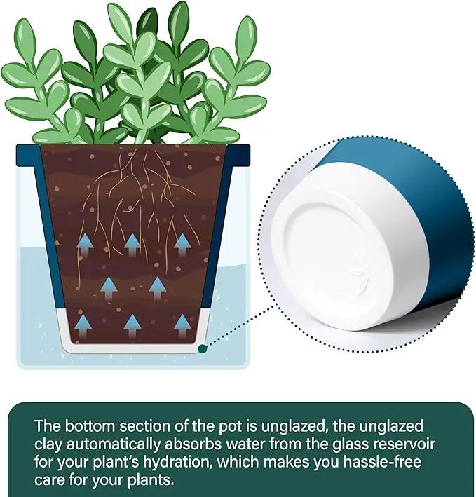 D'vine Dev 4 Inch Design Self Watering Planter for Indoor Plants, Blue Terracotta Pot with Cylinder Glass Cup, Set of 4, 37-Z-A-4-F by GreenHaven Gardens