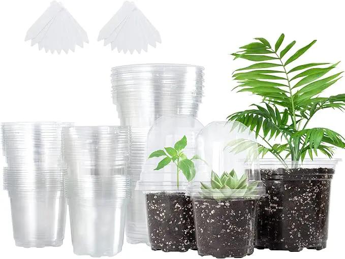 Bonviee 36 Packs 3.5/4/5 Inch Clear Nursery Pots with Humidity Domes, Variety Sizes Seed Starting Pots with Drainage Holes, Transparent Garden Containers for Succulents, Flowers and Cactus-Clear by GreenHaven Gardens