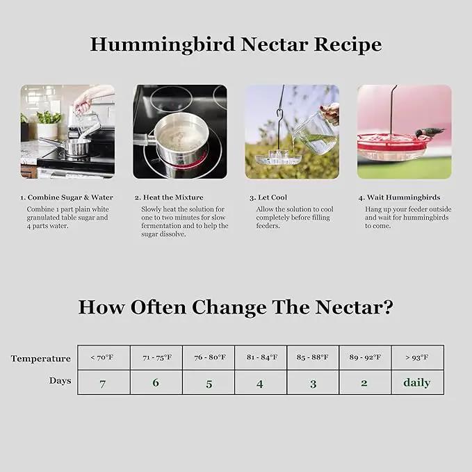 Hummingbird Feeders for Outdoors Hanging - 25 Feeding Ports 10 oz Plastic Hummingbird Feeder, Bee-Proof Leak-Proof No Drip, Easy to Clean with Cleaning Brushes by GreenHaven Gardens