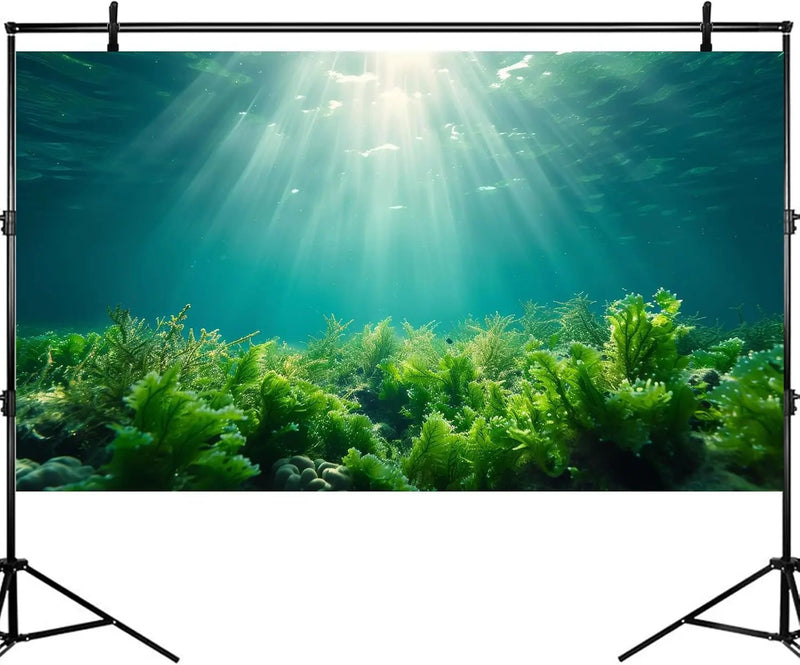 Deep Ocean Fish Tank Background Under The Sea Aquatic Plants Aquarium Background Underwater Corals Sunray Terrarium Backgrounds Tropical Fish Ocean World Aquarium Backgrounds Decorations 48x20in by GreenHaven Gardens