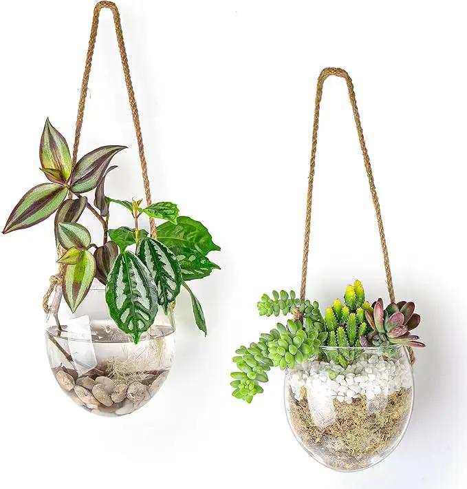 Wall Hanging Glass Planter Air Planter Terrarium Vase Propagation Stations for Hydroponic Plants, Succulent Moss Tillandsias Air Plants Globe,Home Office Garden Decor, Set of 2 by GreenHaven Gardens