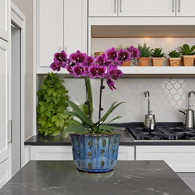 6 inch Round Ceramic Orchid Pot with Holes Orchid Planter (Dark Blue) by GreenHaven Gardens