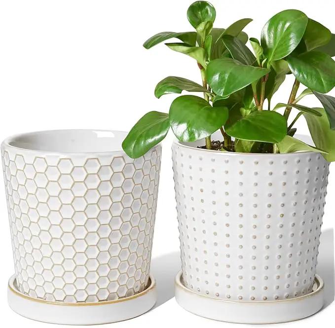 LE TAUCI Ceramic Plant Pots, 5.4 Inch Pots for Indoor Plants, Planters with Drainage Hole and Saucer, Flower Pots for Succulent, Snake Plants and Cactus, Set of 2, Reactive Glaze White by GreenHaven Gardens