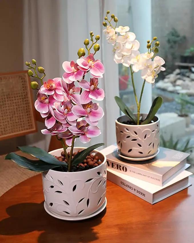 EFISPSS Orchid Pot with Holes, 5+6Inch Ceramic Plant Pots with Drainage Holes and Tray, Promoting Air Circulation and Drainage, Indoor/Outdoor White Flower Pots by GreenHaven Gardens