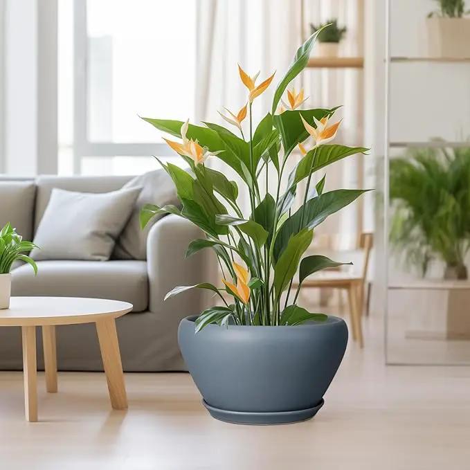 Ceramic Planter - 13 Inch Planter for Indoor Plants Large Plant Pot with Drainage Hole and Saucer Round Outdoor Planter Modern Flower Pot for Home Decor Gray by GreenHaven Gardens