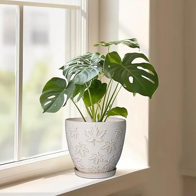 Ceramic Pots for Plants - 8 Inch Plant Pot with Drainage Hole and Saucer Large Planter Pot for Indoor Plants Outdoor Modern Flower Pot Home Decor White by GreenHaven Gardens