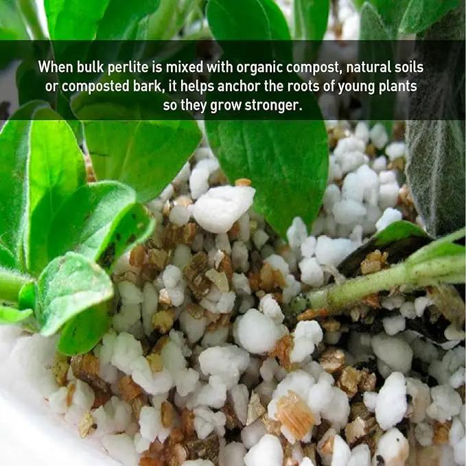 Norcal Perlite Horticultural Organic Certified Premium Screened Coarse – Garden Indoor Outdoor Plants – Soil Additive Better Aeration and Drainage - 4 Cubic Feet (103 Quarts) 1 Bag by GreenHaven Gardens