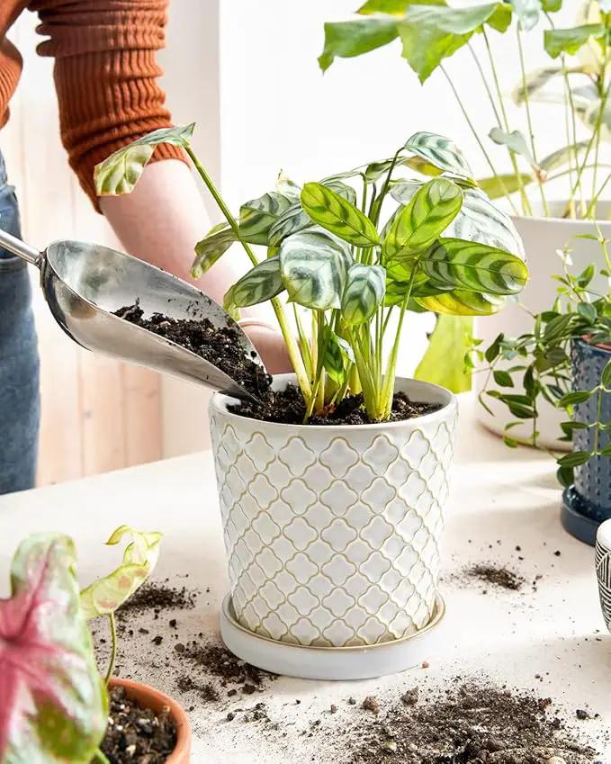 LE TAUCI Ceramic Pots for Plants, 5.4 Inch Plant Pots with Drainage Hole and Saucer, Indoor Plant Pots for Succulent, Snake Plants and Cactus, Flower Pots, Set of 2, Reactive Glaze White by GreenHaven Gardens