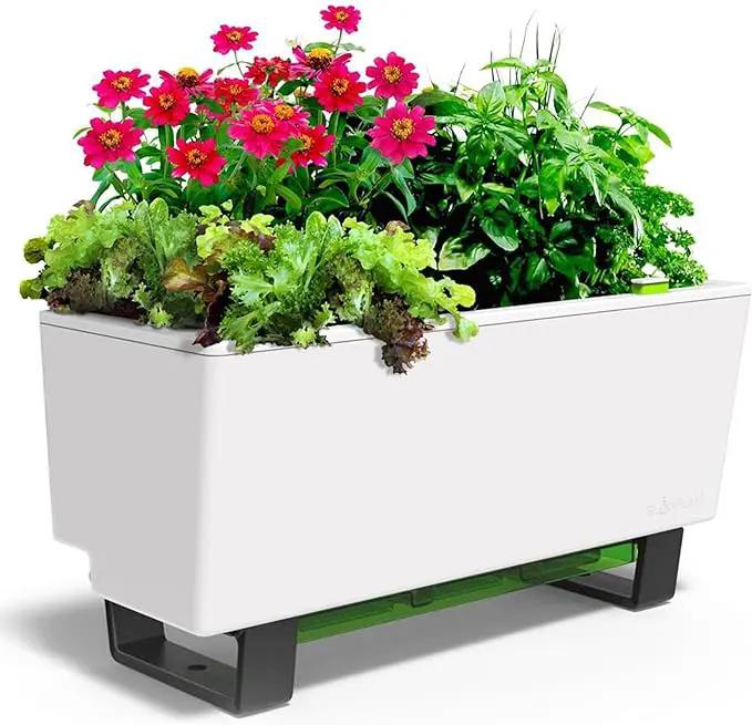 Glowpear Self-Watering Mini Bench Planter - 23.6" in Pot, Free Standing, UV Stable, Scalable, Indoor | Outdoor Pot with Water Gauge, for Home Kitchen Windowsill Gardening by GreenHaven Gardens