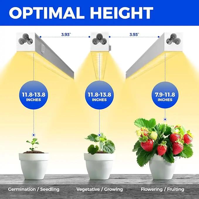 Barrina Grow Lights for Indoor Plants, Full Spectrum Grow Light, 1ft Plant Lights for Indoor Growing, LED Grow Lights, T5 Grow Light Strip, Plug and Play, Yellow, 8-Pack by GreenHaven Gardens