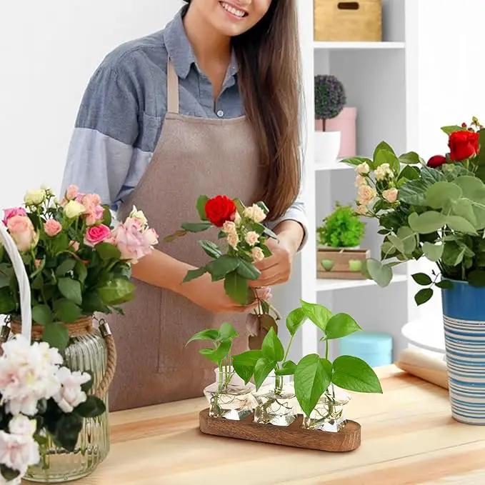 XXXFLOWER Plant Propagation Station with Wooden Stand，Air Plant Terrarium Starter Kits Star Vases for Flowers Plant Cutting Rooting Pots Indoor Hydroponic Glass Planter for Plant Lovers,3 Jars by GreenHaven Gardens