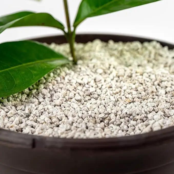 Organic Perlite — Medium/Fine Grade Horticultural Soil Amendment for Indoor & Outdoor Container Plants for Drainage Management and Enhanced Growth (2 Quart) by GreenHaven Gardens