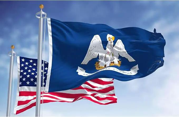 TOPFLAGS Louisiana Flag 3x5 Outdoor LA State Flags Double Sided Embroidered Longest Lasting Heavy Duty Polyester Stronger Brass Grommets 4 Stitched Hemming Perfect for Outside by GreenHaven Gardens