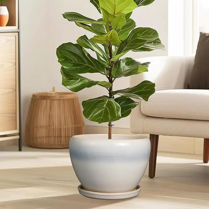 10 Inch Ceramic Planter Pot - Large Plant Pot with Drainage Hole and Saucer Round Flower Pot for Indoor Plants, White by GreenHaven Gardens