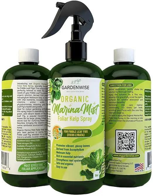 Organic Marina Mist Foliar Spray for Fiddle Leaf Fig and Other Ficus Trees | Micro Nutrients for Vital Health | Gentle Formula | Liquid Plant Food | Quick Results | Ready to Use (16 OZ) by GreenHaven Gardens