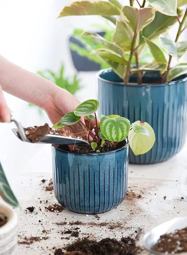 LE TAUCI Ceramic Pots for Plants, 8.3+6.9+5.7 inch Plant Pots Indoor, Flower Pots with Drainage Holes, Medium Cylinder Planters Pot for Indoor House Plants, Set of 3, Glaze Ocean Blue by GreenHaven Gardens