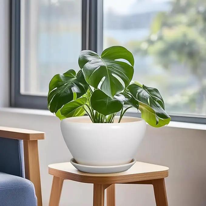 Ceramic Planter - 9 Inch Plant Pot Indoor with Drainage Hole and Saucer for Outdoor Plants Mid-Century Round Planter Modern Flower Pot for House Garden White by GreenHaven Gardens